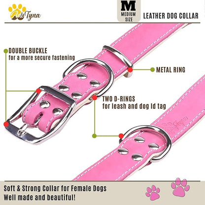 ADITYNA Heavy-Duty Pink Leather Dog Collar for Medium Dogs - Lined with Soft Leather - Girl Dog Collar for Walking, Training, and Hiking