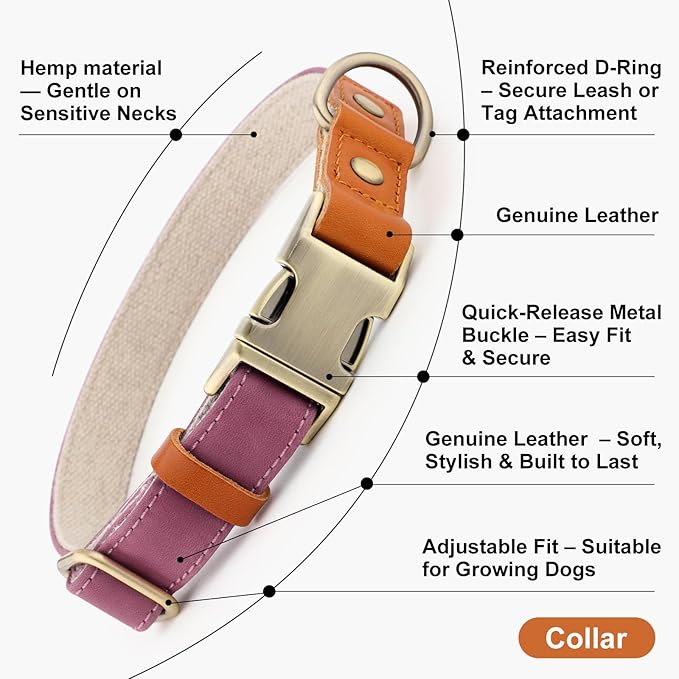 Plutus Pet Genuine Leather & Hemp Dog Collar – Adjustable Heavy Duty Pet Collar with Quick Release Metal Buckle, Soft & Stylish for Puppy and Small, Medium, Large Dogs (Purple, XS)