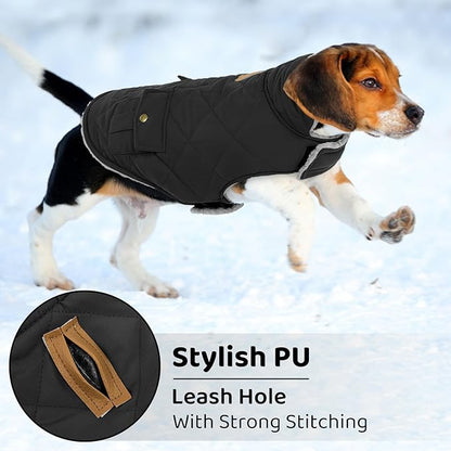Queenmore Dog Winter Coat Warm Puffer Jacket Waterproof Plush Lining Thermal Cold Weather Vest for Small Medium Large Dogs, Windproof Easy On Pet Jacket Black L