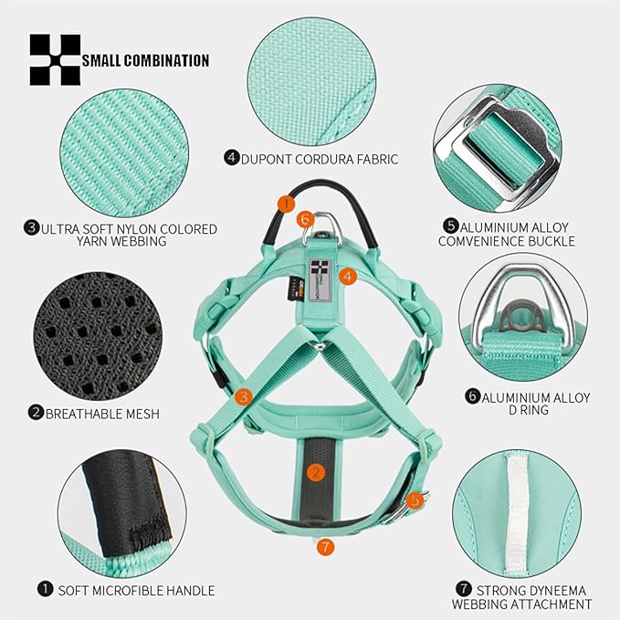 Adjustable Dog Harness with Handle, Padded Comfort,Small, Medium and Large Dogs (Aqua Green, XS)
