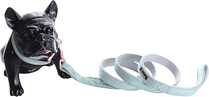 ARING PET Dog Collar and Leash, Velvet Dog Collar and Leash Set, Soft & Comfy, Adjustable Collars for Dogs Medium