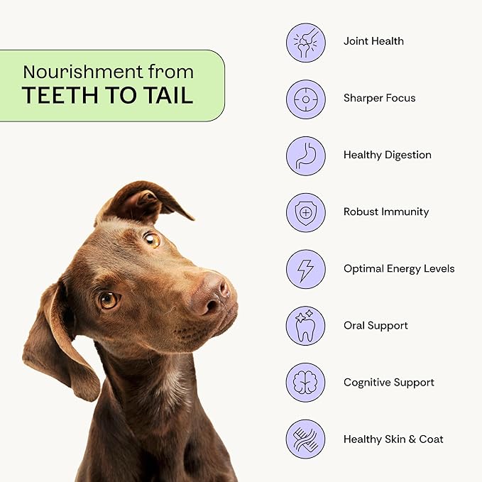 Daily Prebiotic + Postbiotic Dog Supplement Powder | 12-in-1 Support for Gut, Joints, Allergy, Immunity, Calming & Oral Health | Human-Grade Ingredients, No Artificial Flavors-No Fillers - 30 Sachets