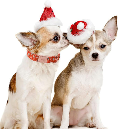 Unique style paws Dog Collar Metal Buckle Collar for Winter Christmas Gingerbread for Small Medium Large Boys Girls Dogs