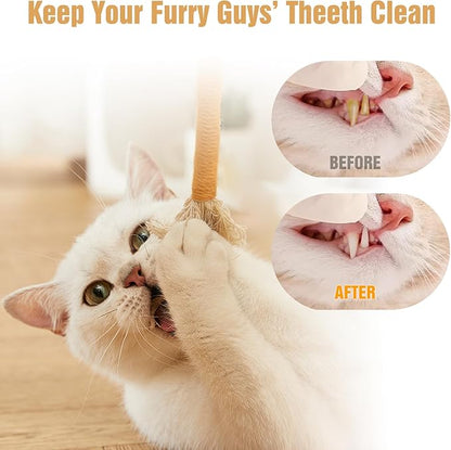 TKWINKT 5 PCS Cat Chew Toy, 5.9in Catnip Toys for Cats, Teeth Cleaning Cat Toys for Indoor Kittens