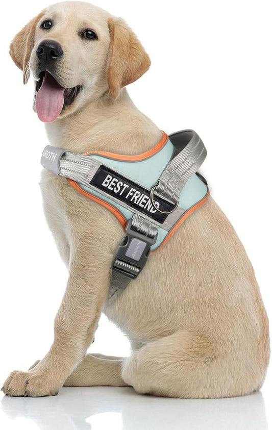 AUROTH Dog Harness and Leash Set, Soft Padded Service Dog Vest with 5.25FT Dog Leash, No Choke, Easy On Pet Vest, Adjustable Reflective No Pull Dog Harness for Large Dogs, Easy Walking and Training