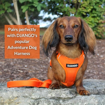 DJANGO Adventure Dog Leash – Strong, Comfortable, and Stylish Dog Leash with Solid Brass Hardware and Padded Handle - Designed for Outdoor Adventures and Everyday Use (Sunset Orange)