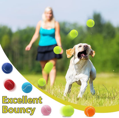 Swingers Squeaky Tennis Balls for Dogs,2.5 inch Training Tennis Balls,Exercise Ball for Pet Dog with Mesh Carry Bag Easy to Transport (Multicolor, 6 Pack)