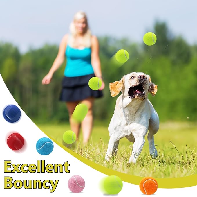 Swingers Squeaky Tennis Balls for Dogs,2.5 inch Training Tennis Balls,Exercise Ball for Pet Dog with Mesh Carry Bag Easy to Transport (Yellow, 24 Pack)