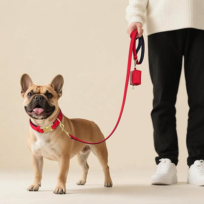 Didog Soft Padded Dog Collar for Large Dogs, Colorful and Durable Pet Collar with Quick Release Buckle, Light and Breathable for Daily Walking, Red, L