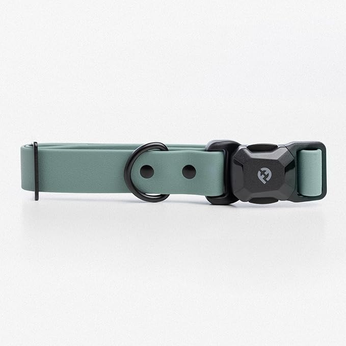 2026 New Edition, Fei & Eve PVC MagEase Dog Collar - Patented Magnetic Buckles | Fur-Safe | 450LB Escape-Proof | Adjustable Fit | Small (Glacier Green)