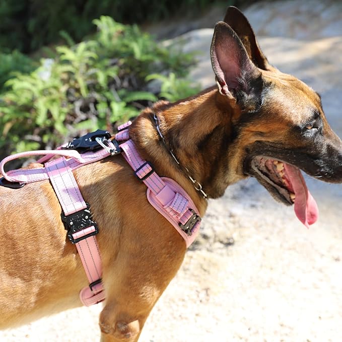 ICEFANG Dog Strap Harness with All-Metal Hardware,for Large Sized Dog,K9 Vest,Y-Shape Soft Padding,Adjustable Pet Harness,No-Pull Front Leash Clip (Large (Pack of 1), Pink)