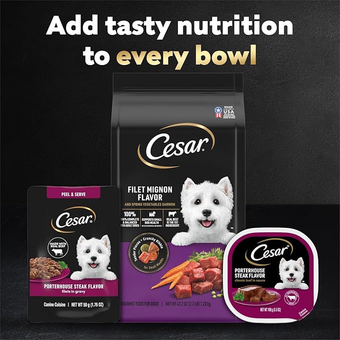 Cesar Filets in Gravy Wet Dog Food, Porterhouse Steak Flavor, 1.76 oz. Mini-Pouch, 20 Count