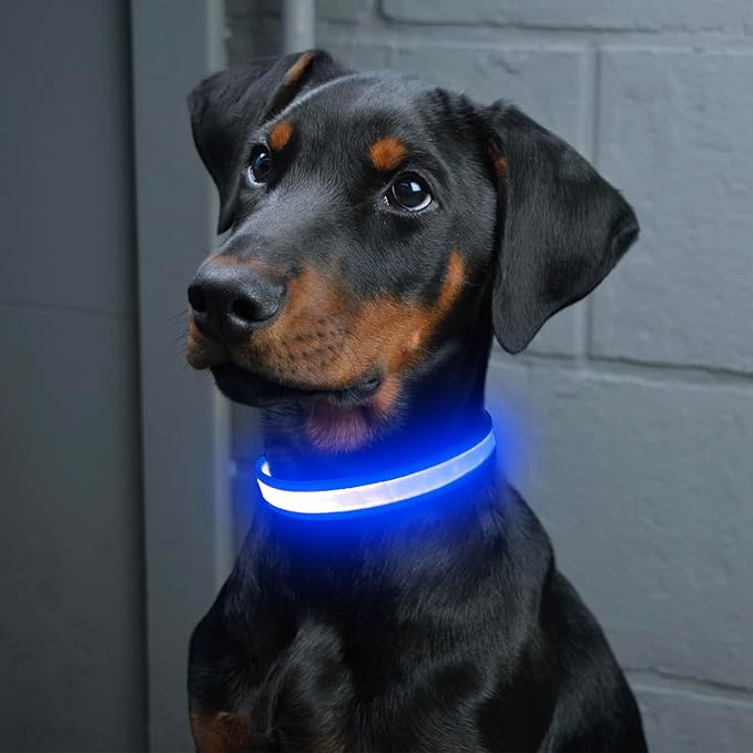 Vizpet LED Dog Collar, Light Up Dog Collar Adjustable USB Rechargeable Super Bright Safety Light Glowing Collars for Dogs(X-Large,Blue)