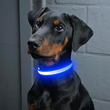 Vizpet LED Dog Collar, Light Up Dog Collar Adjustable USB Rechargeable Super Bright Safety Light Glowing Collars for Dogs(X-Large,Blue)