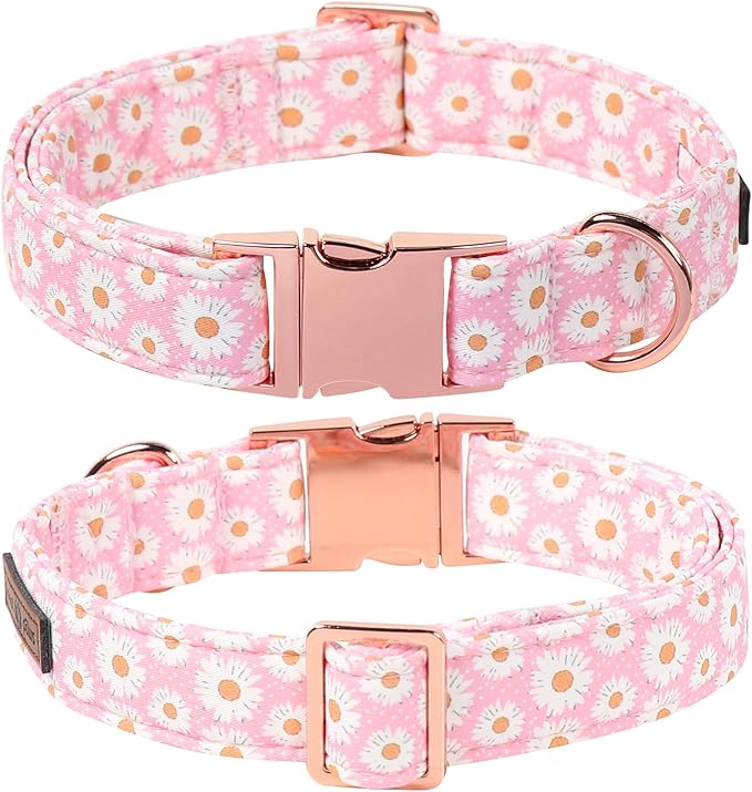 Lionet Paws Floral Dog Collar with Sailor Bow, Spring Cute Daisy Pink Dog Collar Bow Tie for Large Dogs, Neck 16-24 inches