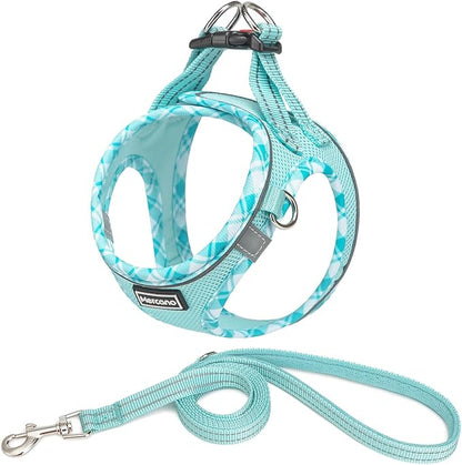Mercano Soft Mesh Dog Harness and Leash Set, No-Chock Step-in Reflective Breathable Lightweight Easy Walk Vest Harnesses with Safety Buckle for Small Dogs, Cats (Light Blue, L)