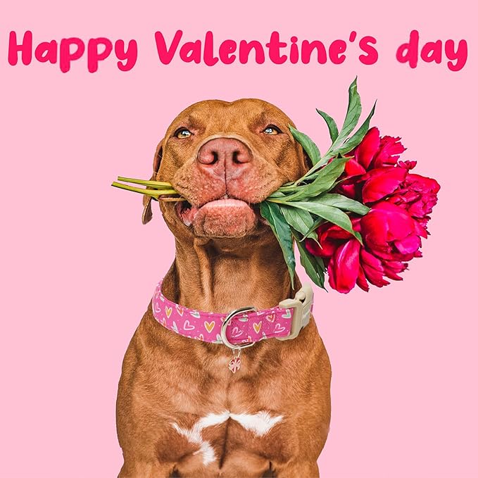 Faygarsle Valentine's Day Dog Collar, Pink Heart Pattern with Metal D-Ring and Heart Charm, Adjustable Pet Collar for Small Medium Large Dogs M