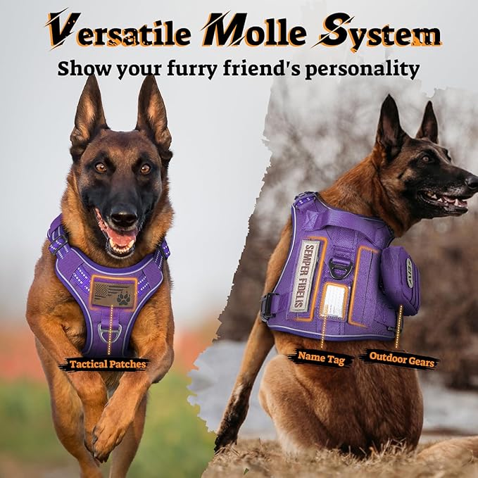 rabbitgoo Dog Harness for Large Dogs No Pull, Tactical Service Pet Vest with Molle and Control Handle, Adjustable and Reflective Military Harness for Easy Walking and Training, Purple, L