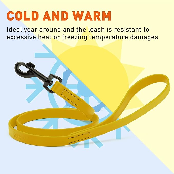 Dogline Biothane Waterproof Dog Leash Strong Coated Nylon Webbing with Black Hardware Odor-Proof Easy to Clean High Performance for Small or Large Dogs Made in USA 4 or 6 ft Lead, Treasure Gold