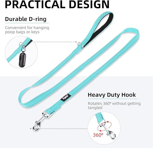 PUPTECK Reflective Dog Leash with Comfortable Padded Handle Durable Nylon Dog Lead for Small Medium and Large Dogs Cats Walking Running Training Outside, Light Blue