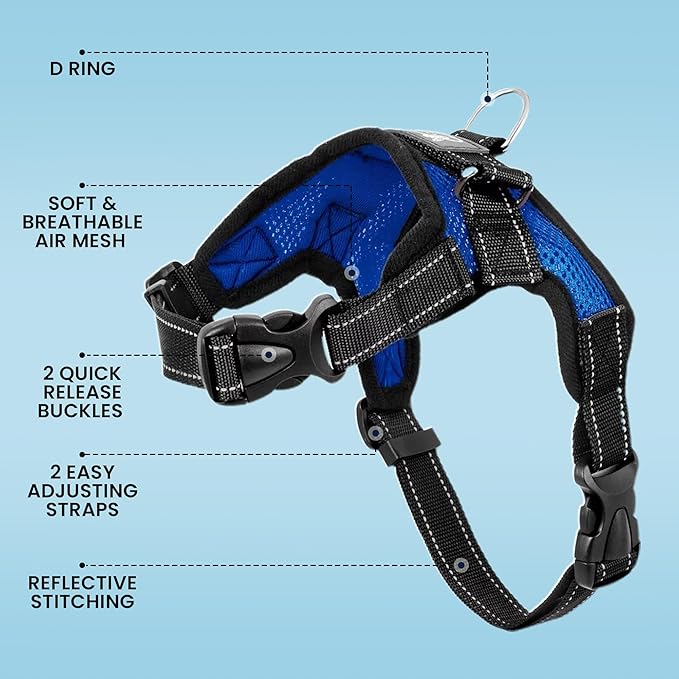 No Pull Reflective Adjustable Dog Harness With Handle- Comfortable Soft All Weather Mesh, Easy On Puppy Harness For Small Medium and Large Dogs (Blue) XX-Small