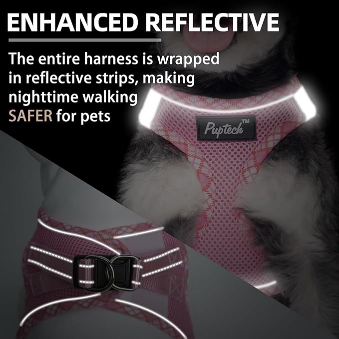 PUPTECK Dog Harness and Leash Set for Small Medium Dogs No Pull Step-in Soft Mesh Puppy Cat Vest Harnesses Reflective at Night, Upgraded New Pink XS