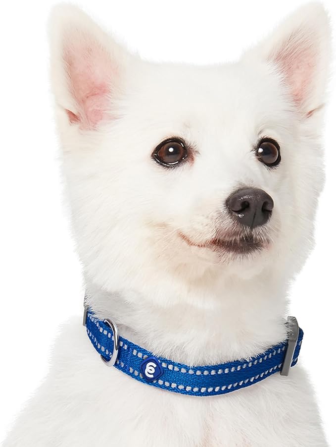 Blueberry Pet Essentials Reflective Dog Collar & Leash Set, Adjustable for Large Dogs | Safe Walking Gear for Pet Parents, Puppy Training & Daily Use LargeDogs, Navy