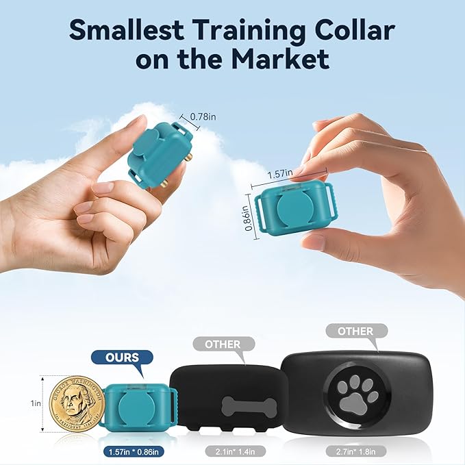 Smallest Dog Training Collar for 3 Dogs，Dog Shock Collar with Remote Control(5–120Lbs), 2000ft Range，4 Training Modes，Waterproof Rechargeable Electric Dog Collar for Small Medium Large Dogs，Cyan