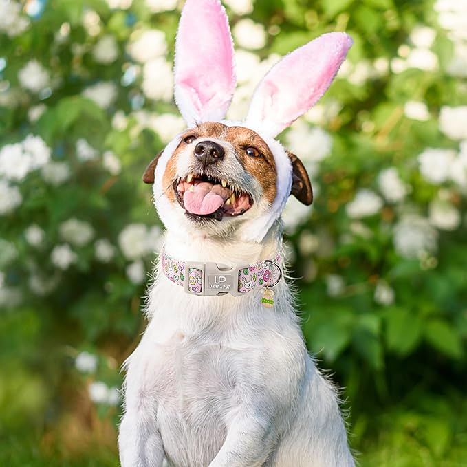 Easter Bunny Dog Collar,Cotton Easter Eggs Dog Collar for Puppy Girl Boy Dogs,Cute Bunny Pet Collars with Quick Release,Easter Gift Dogs Collars