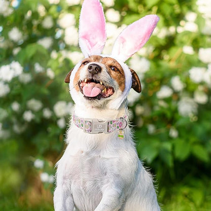 Easter Bunny Dog Collar,Cotton Easter Eggs Dog Collar for Puppy Girl Boy Dogs,Cute Bunny Pet Collars with Quick Release,Easter Gift Dogs Collars