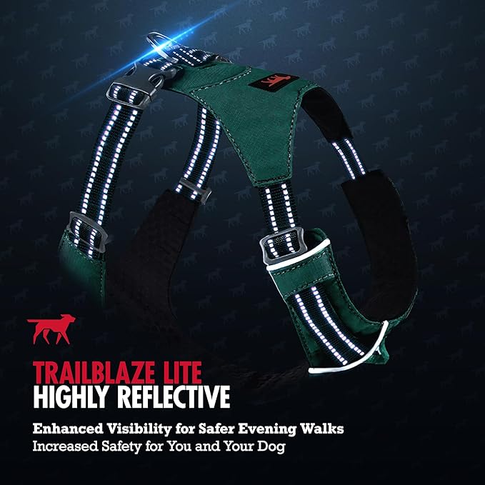 Tuff Pupper All-Day Wear Dog Harness | for Walking, Trail Running, Hiking | Front & Back Leash Clips | Reflective Trim | Easy On/Off Buckles | Lightweight Breathable | No Pull Design (Small, Teal)