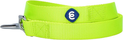 Blueberry Pet Essentials Highlighter Yellow Dog Leash for Medium - 5' * 3/4" Dogs | Heavy Duty Nylon Lead | Lightweight Puppy & Cat Leash for Walking & Training