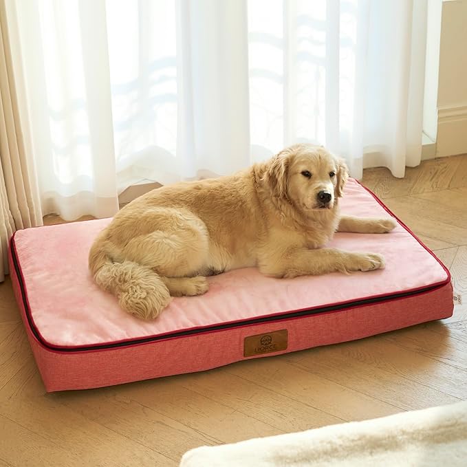 LIORCE Orthopedic Memory Foam XXL Dog Bed - 6" Thick Beds for Extra Large Sized Dog - Waterproof Removable Washable Cover & Wrap-Around Zipper - Ultimate Comfort & Easy Maintenance, Pink