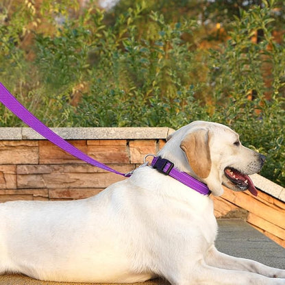Reflective Dog Leash 6 FT Padded Handle Nylon Dogs Leashes for Large Dogs Dark Magenta