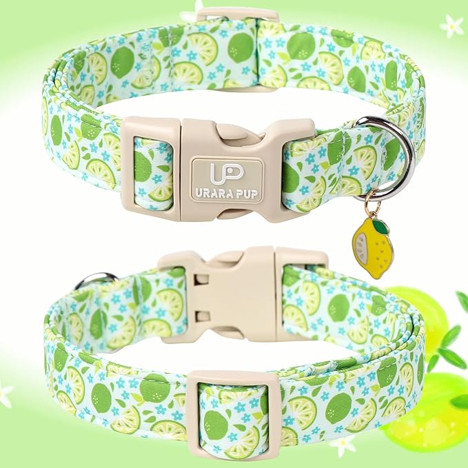 UP URARA PUP Summer Dog Collar-Refreshing Lime Pet Collars-Adjustable, Comfortable & Durable Puppy Collars for Small, Medium, Large Dogs