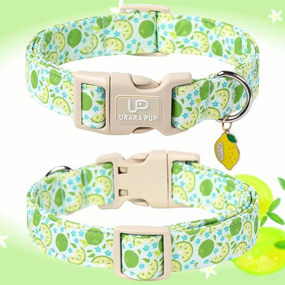 UP URARA PUP Summer Dog Collar-Refreshing Lime Pet Collars-Adjustable, Comfortable & Durable Puppy Collars for Small, Medium, Large Dogs