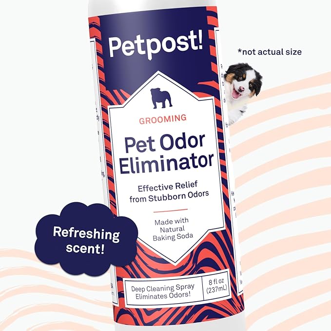 Petpost | Pet Odor Eliminator Spray for Dogs & Cats - Naturally Effective Deodorant and Bad Smell Killer - For Spraying Your Pet or Around the Home 8 oz.