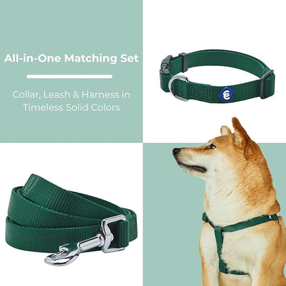 Blueberry Pet Essentials Matching Dog Collar Leash Harness Set in Verdant Green, Adjustable Classic Solid Color Nylon Collar with Harness & 5 ft Leash for Medium Dogs