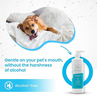 Infinite Health Labs Oxydent Premium Pet Dental Care Solution - Pet Water Additive & Mouthwash for Teeth Cleaning - Eliminate Bad Dog & Cat Bad Breath - Dog Dental Rinse - Fights Tartar & Plaque