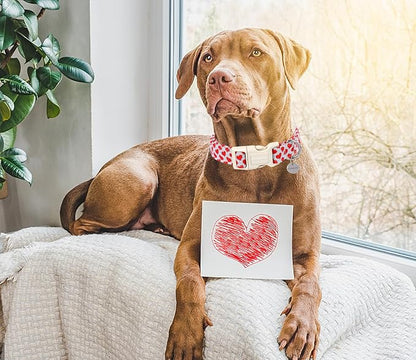 DOGWONG Valentine's Dog Collar - Red Heart Adjustable Cotton Heart Dog Collar - Perfect for Large Dogs