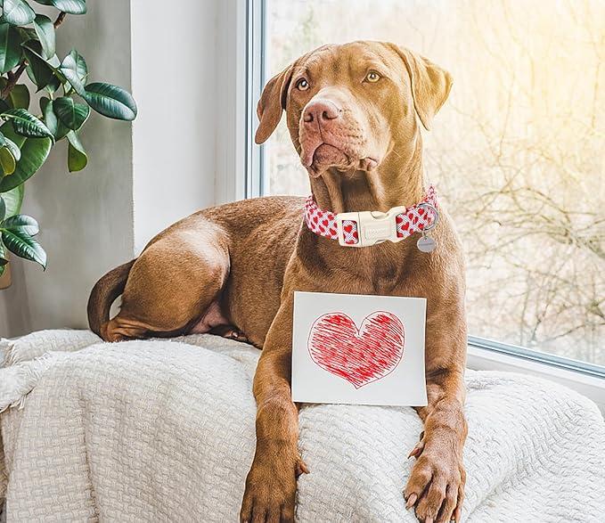 DOGWONG Valentine's Dog Collar - Red Heart Adjustable Cotton Heart Dog Collar - Perfect for Small to Medium Dogs