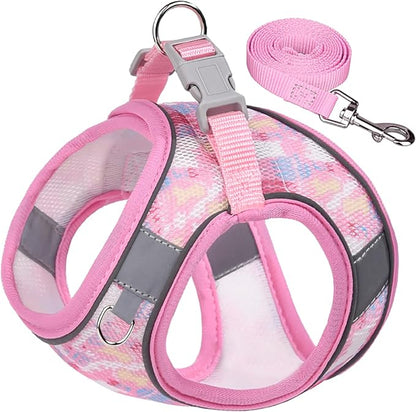 Step in Mesh Dog Harness and Leash Set - Breathable Air Mesh Reflective Escape Proof Dog Harness Vest - No Choke, Lightweight - L(Neck:13.5"-15.5",Chest:18"-19.5"), Rose Red