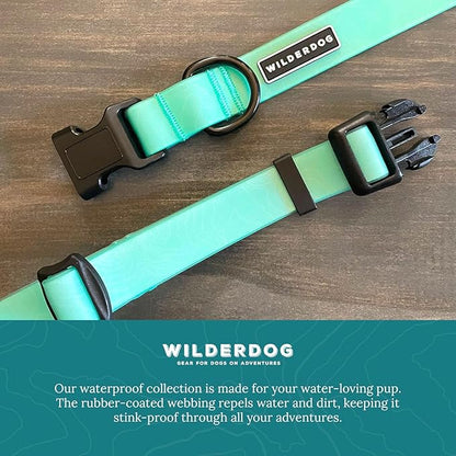 Wilderdog Waterproof Dog Collar - Repels Water & Dirt - Medium 13"-18" - Seafoam
