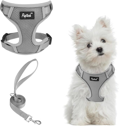 PUPTECK Small Dog Harness and Leash Set, No Pull Adjustable Puppy Cat Harness, Reflective Soft Mesh Pet Vest Small Sized, Grey, S