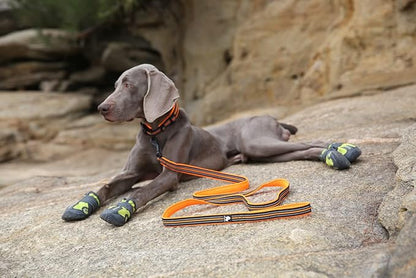 TRUE LOVE Reflective Dog Leash Puppy Walking Lead, Padded Pet Chain Rope，Length 110cm Truelove TLL2111(Orange,L)