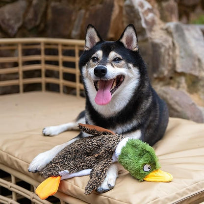 Best Pet Supplies Squeaky Dog Toys with Soft Durable Fabric for Small, Medium and Large Pets Interactive Toy for Indoor Play, Supports Active Biting and Play - 1Wild Duck, Pig, Large