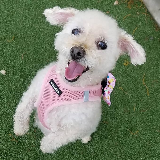 Best Pet Supplies Voyager Step-in Air Harness - All Weather Mesh, Reflective, No Pull Harness for Dogs, Cats - Secure with Hook & Loop Fastener, Buckle, Double D-Rings - Pink, XXS