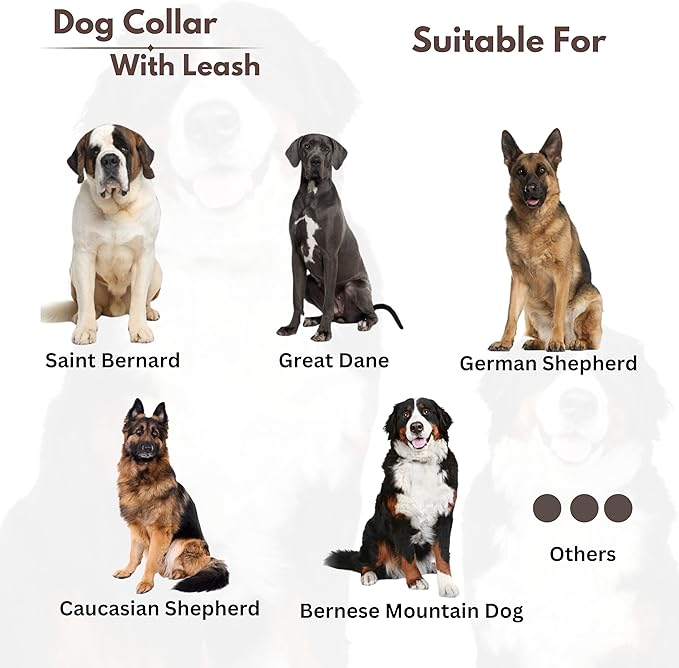 Heavy Duty Dog Collar and Leash Set for Large Dogs - Adjustable 21" Leather Nylon Collar with Durable 50" Leash, Metal Buckle & Handle - Training, Walking, Outdoor Pet Harness Combo for Big Breeds
