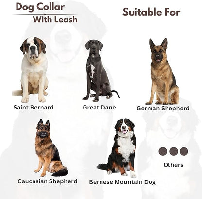 Heavy Duty Dog Collar and Leash Set for Large Dogs - Adjustable 21" Leather Nylon Collar with Durable 50" Leash, Metal Buckle & Handle - Training, Walking, Outdoor Pet Harness Combo for Big Breeds