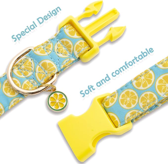 Faygarsle Cute Dog Collar for Girls Boy Dogs Soft Fancy Pet Collar with Lemon Design Ideal Yellow Green Summer Dog Collar for Small Medium Large Dogs S